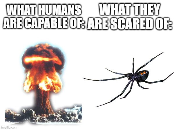 /e good title | WHAT THEY ARE SCARED OF:; WHAT HUMANS ARE CAPABLE OF: | image tagged in memes | made w/ Imgflip meme maker