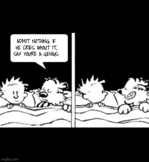 Diabolical idea | ADMIT NOTHING. IF HE CRIES ABOUT IT, SAY YOU'RE A GENIUS. | image tagged in calvin and hobbes | made w/ Imgflip meme maker