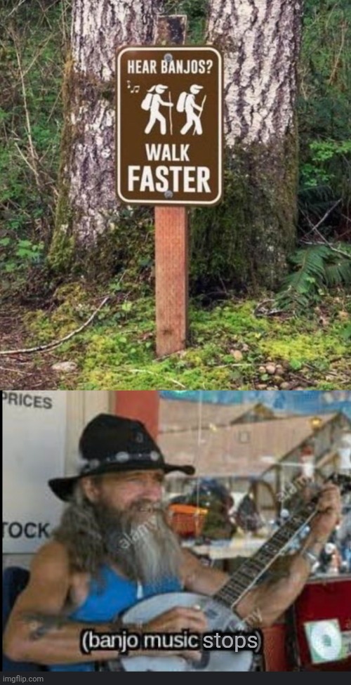 stops | image tagged in banjo,music,stop,woods | made w/ Imgflip meme maker