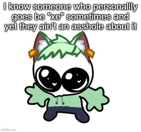 and by someone I mean Jayden | I know someone who personallly goes be "xe" sometimes and yet they ain't an asshole about it | image tagged in neko as a goober og neko design by cosmo | made w/ Imgflip meme maker