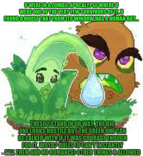 *insert tittle here* | U WERE IN A ZOMBIE APOCALYPSE WHERE U WERE ONE OF THE VERY FEW SURVIVORS OF IT, U FOUND A HOUSE THAT FROM ITS WINDOW HAS A HUMAN BUT... THESE 2 STAND IN UR WAY, THE BIG ONE LOOKS HOSTILE BUT THE GREEN ONE CAN BE TALKED WITH IF IT WAS COURAGE ENOUGH FOR IT, WDYD? RULES (U CAN'T INSTANTLY KILL THEM AND NO ROMANCE) OTHER THINGS R ALLOWED | image tagged in don't kill them,no romance,joke oc's r allowed,16 may 2059,powers r allowed,but not for killing | made w/ Imgflip meme maker