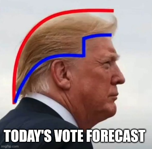 TODAY'S VOTE FORECAST | image tagged in funny | made w/ Imgflip meme maker