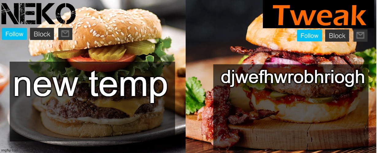 Neko and Tweak shared temp | new temp; djwefhwrobhriogh | image tagged in neko and tweak shared temp | made w/ Imgflip meme maker