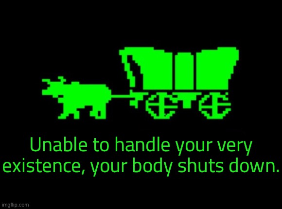 Oregon trail | Unable to handle your very existence, your body shuts down. | image tagged in oregon trail | made w/ Imgflip meme maker