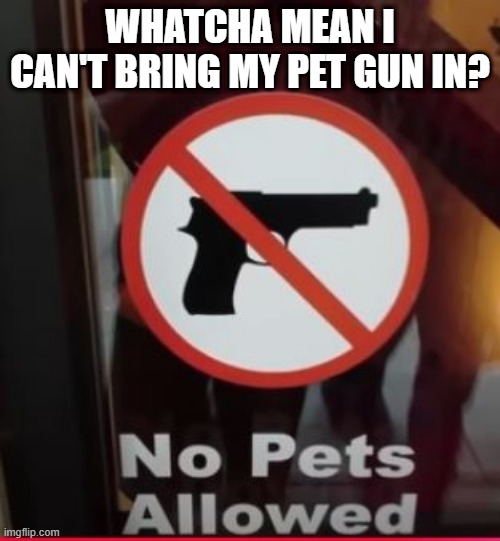 No Pets | WHATCHA MEAN I CAN'T BRING MY PET GUN IN? | image tagged in you had one job | made w/ Imgflip meme maker