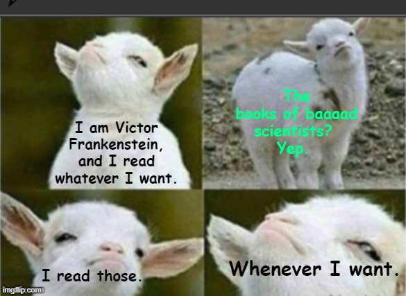 Arrogant sheep | The books of baaaad scientists? 
Yep. I am Victor Frankenstein, and I read whatever I want. Whenever I want. I read those. | image tagged in arrogant sheep,english teachers,literature,frankenstein | made w/ Imgflip meme maker