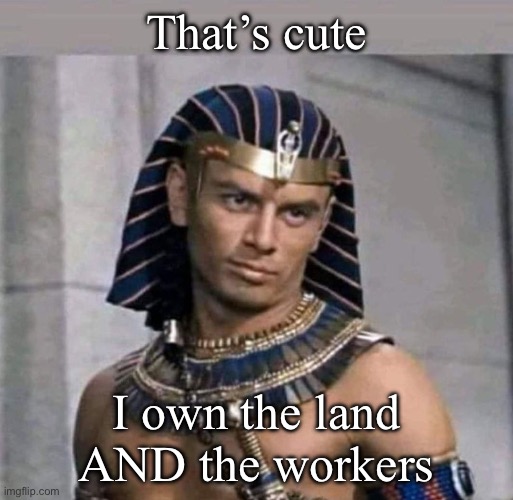 Slave Labor | That’s cute; I own the land AND the workers | image tagged in pharaoh,slaves | made w/ Imgflip meme maker