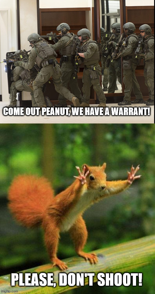 Great, can we work on the Venezuelan gangs next? | COME OUT PEANUT, WE HAVE A WARRANT! PLEASE, DON'T SHOOT! | image tagged in fbi swat,funny sqirrel | made w/ Imgflip meme maker