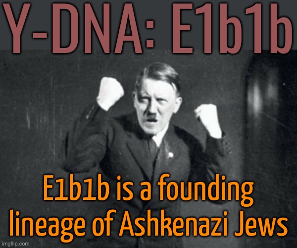 E1b1b Is A Founding Lineage Of Ashkenazi Jews | Y-DNA: E1b1b; E1b1b is a founding lineage of Ashkenazi Jews | image tagged in hitler raising fist,dna,genetics,nazis,nazi,adolf hitler | made w/ Imgflip meme maker