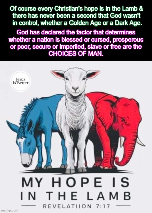 My Hope Is In The Lamb, But... | Of course every Christian's hope is in the Lamb &

there has never been a second that God wasn't

 in control, whether a Golden Age or a Dark Age. God has declared the factor that determines
whether a nation is blessed or cursed, prosperous

or poor, secure or imperiled, slave or free are the
CHOICES OF MAN. | image tagged in god,jesus,election,lamb,church,hope | made w/ Imgflip meme maker