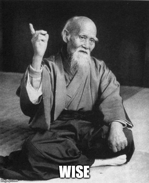 Wise Master | WISE | image tagged in wise master | made w/ Imgflip meme maker