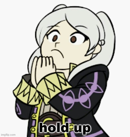 Robin concern | hold up | image tagged in robin concern | made w/ Imgflip meme maker