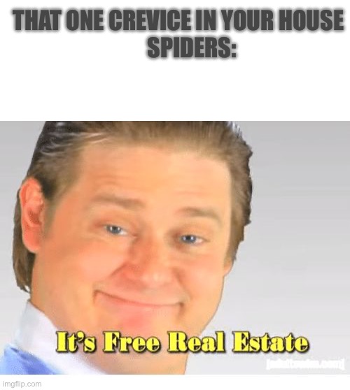 Spiders be like | THAT ONE CREVICE IN YOUR HOUSE

      SPIDERS: | image tagged in it's free real estate,spiders | made w/ Imgflip meme maker