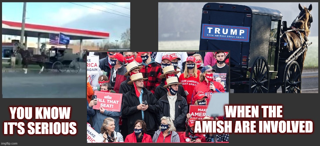 Meanwhile... in the fight for the USA... | WHEN THE AMISH ARE INVOLVED; YOU KNOW IT'S SERIOUS | image tagged in politics,american politics,election 2024,maga,dark to light | made w/ Imgflip meme maker