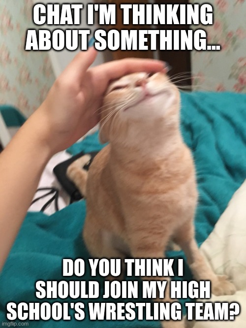 I'm thinking about it | CHAT I'M THINKING ABOUT SOMETHING... DO YOU THINK I SHOULD JOIN MY HIGH SCHOOL'S WRESTLING TEAM? | image tagged in cat pat | made w/ Imgflip meme maker