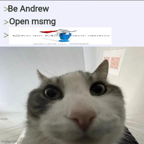 Cat looks inside | Be Andrew; Open msmg | image tagged in cat looks inside | made w/ Imgflip meme maker
