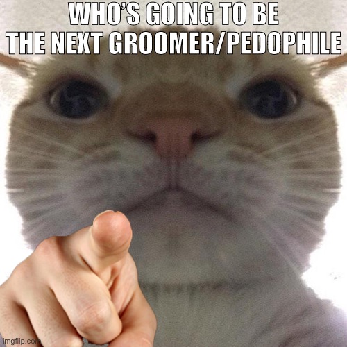 Cat point at you | WHO’S GOING TO BE THE NEXT GROOMER/PEDOPHILE | image tagged in cat point at you | made w/ Imgflip meme maker