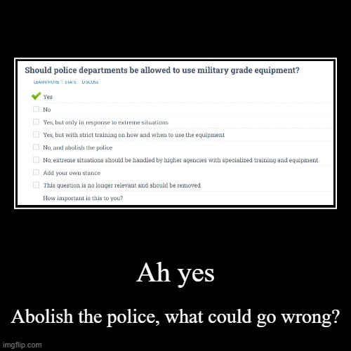 Nothing can go wrong with this! | Ah yes | Abolish the police, what could go wrong? | image tagged in funny,demotivationals | made w/ Imgflip demotivational maker