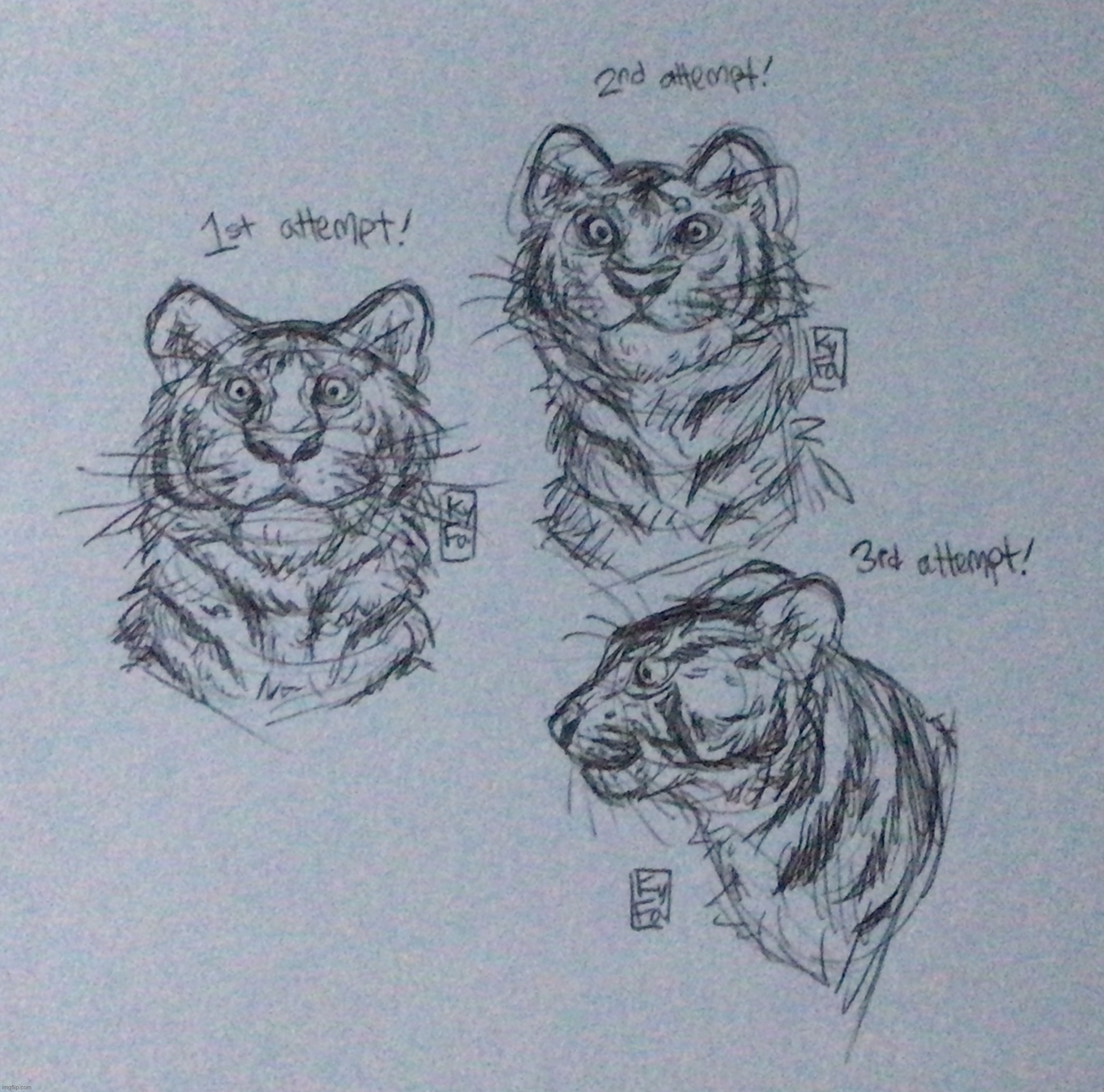 My very first tries at drawing at drawing a tiger | made w/ Imgflip meme maker