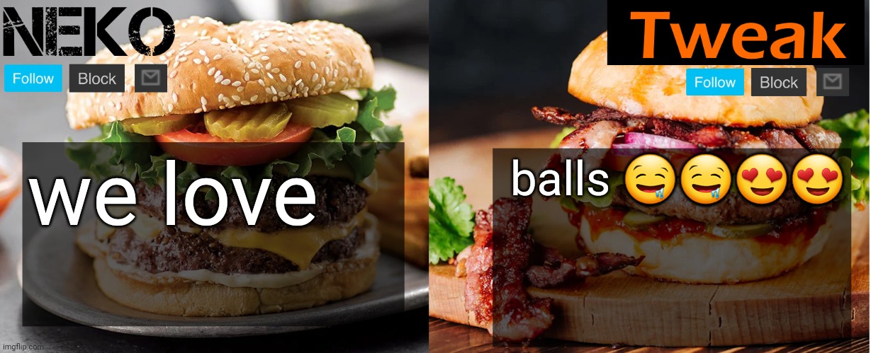 Neko and Tweak shared temp | we love; balls 🤤🤤😍😍 | image tagged in neko and tweak shared temp | made w/ Imgflip meme maker