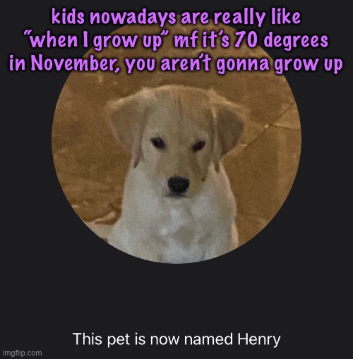 say hi to Henry | kids nowadays are really like “when I grow up” mf it’s 70 degrees in November, you aren’t gonna grow up | image tagged in say hi to henry | made w/ Imgflip meme maker