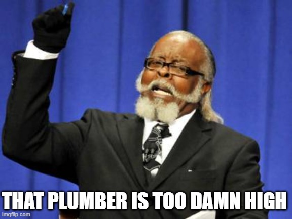 THAT PLUMBER IS TOO DAMN HIGH | image tagged in memes,too damn high | made w/ Imgflip meme maker