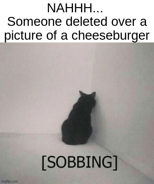 /srs | NAHHH... 
Someone deleted over a picture of a cheeseburger | image tagged in sobbing cat | made w/ Imgflip meme maker