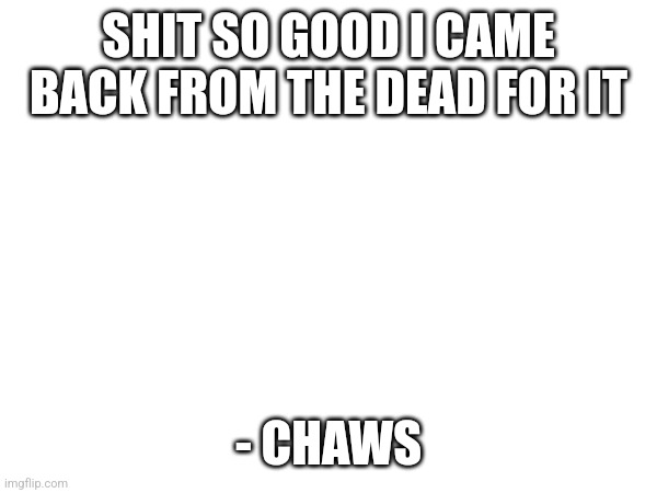 SHIT SO GOOD I CAME BACK FROM THE DEAD FOR IT; - CHAWS | made w/ Imgflip meme maker