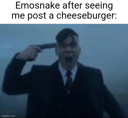 cillian Murphy kms | Emosnake after seeing me post a cheeseburger: | image tagged in cillian murphy kms | made w/ Imgflip meme maker