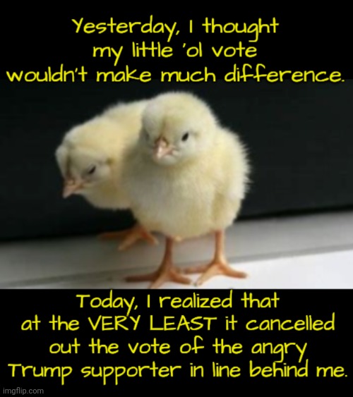 There's Still Time to Vote Today! | image tagged in dnc,msnbc,kamala harris,voting | made w/ Imgflip meme maker