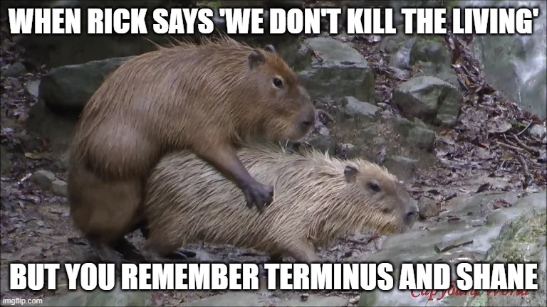 wicked mugen skills | WHEN RICK SAYS 'WE DON'T KILL THE LIVING'; BUT YOU REMEMBER TERMINUS AND SHANE | image tagged in mugen | made w/ Imgflip meme maker