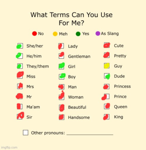 (Insert title here) | image tagged in pronouns sheet | made w/ Imgflip meme maker