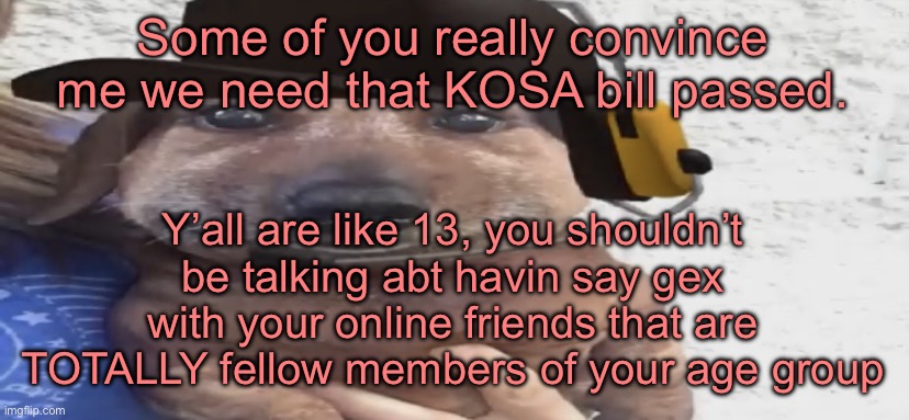 chucklenuts | Some of you really convince me we need that KOSA bill passed. Y’all are like 13, you shouldn’t be talking abt havin say gex with your online friends that are TOTALLY fellow members of your age group | image tagged in chucklenuts | made w/ Imgflip meme maker