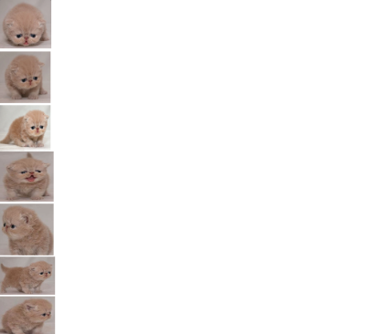 sad kitten 1 2 3 4 5 6 7 Blank Meme Template