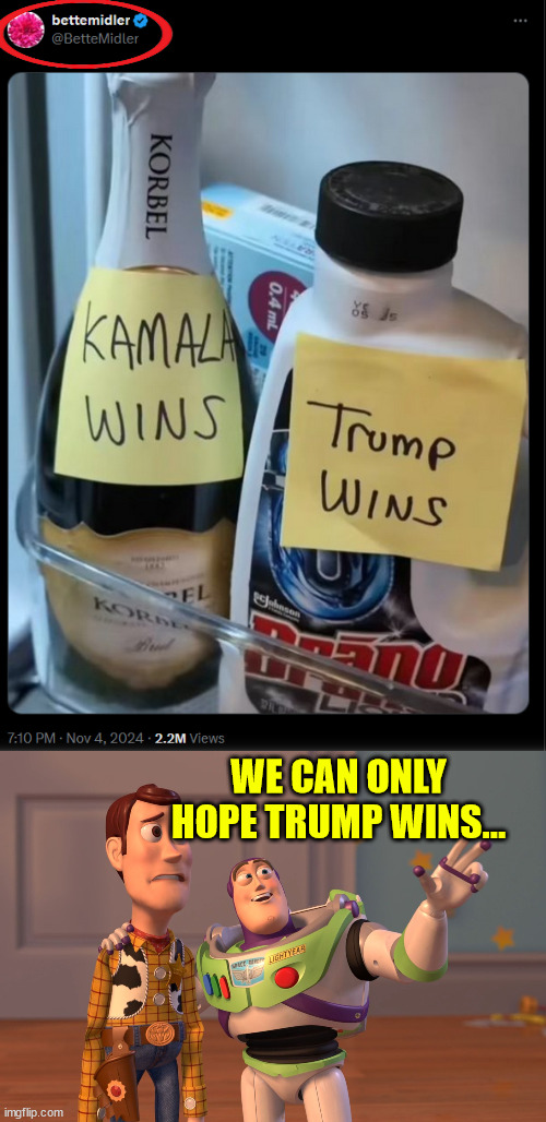 If you can still vote... Vote Trump... | WE CAN ONLY HOPE TRUMP WINS... | image tagged in memes,bette midler,harris or trump,too bad she did not show this earlier | made w/ Imgflip meme maker