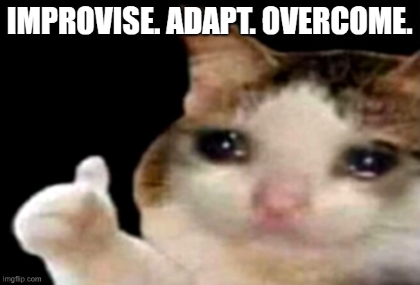 Sad cat thumbs up | IMPROVISE. ADAPT. OVERCOME. | image tagged in sad cat thumbs up | made w/ Imgflip meme maker