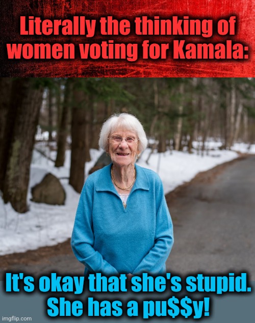 When your vote is decided by genitals | Literally the thinking of
women voting for Kamala:; It's okay that she's stupid.
She has a pu$$y! | image tagged in memes,kamala harris,women,identity politics,democrats,election 2024 | made w/ Imgflip meme maker