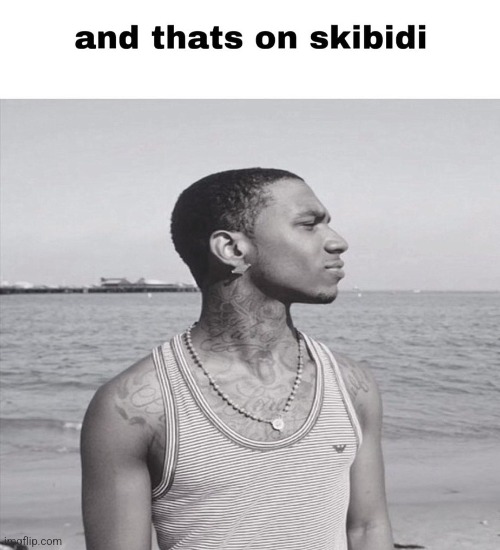 Post above is now skibidi certified | image tagged in and that's on skibidi | made w/ Imgflip meme maker