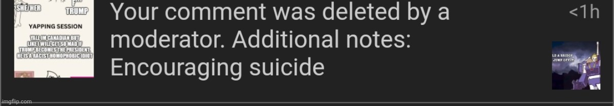 Well, I should've seen that coming (also snowflake move, whoever in the lgbtq stream did that) | made w/ Imgflip meme maker