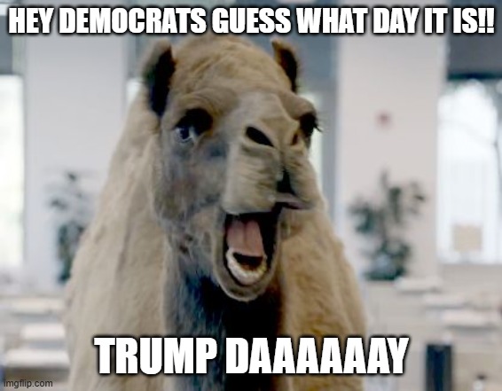 trump day | HEY DEMOCRATS GUESS WHAT DAY IT IS!! TRUMP DAAAAAAY | image tagged in geico camel hump day | made w/ Imgflip meme maker