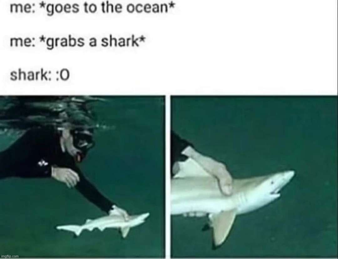 :0 | made w/ Imgflip meme maker