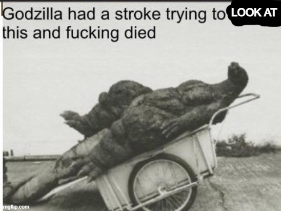 Godzilla | LOOK AT | image tagged in godzilla | made w/ Imgflip meme maker