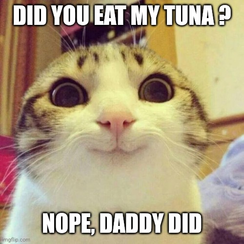 Smiling Cat Meme | DID YOU EAT MY TUNA ? NOPE, DADDY DID | image tagged in memes,smiling cat | made w/ Imgflip meme maker