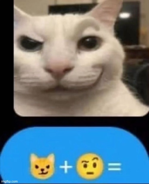 Cat + face = | made w/ Imgflip meme maker