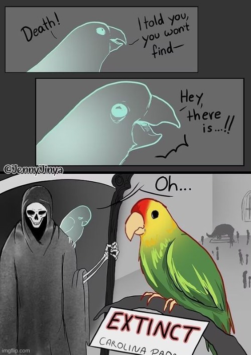 The steps people take for popularity... poor parrot. | image tagged in dark humor | made w/ Imgflip meme maker