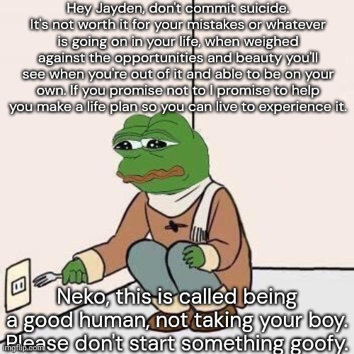 Mods would you care to place this over a Jayden post if any are in the queue? I appreciate you greatly. | Hey Jayden, don't commit suicide. It's not worth it for your mistakes or whatever is going on in your life, when weighed against the opportunities and beauty you'll see when you're out of it and able to be on your own. If you promise not to I promise to help you make a life plan so you can live to experience it. Neko, this is called being a good human, not taking your boy. Please don't start something goofy. | image tagged in sad pepe suicide | made w/ Imgflip meme maker