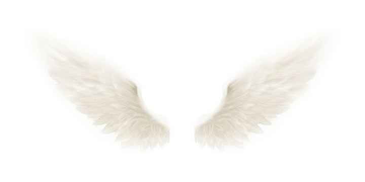 Angel wings Blank Meme Template