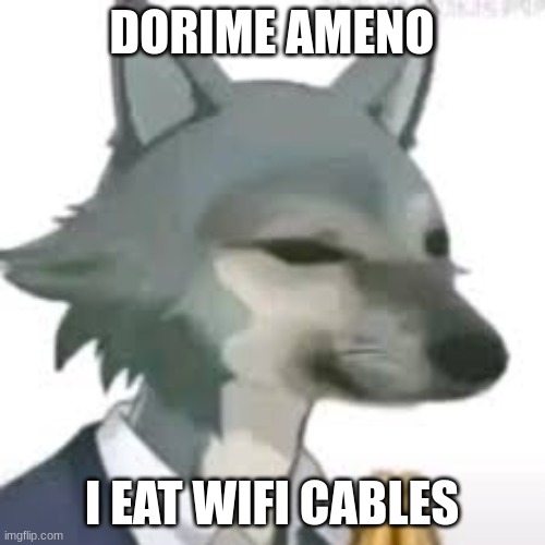 Legoshi Dorime | DORIME AMENO I EAT WIFI CABLES | image tagged in legoshi dorime | made w/ Imgflip meme maker