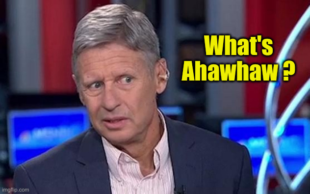 Gary Johnson | What's Ahawhaw ? | image tagged in gary johnson | made w/ Imgflip meme maker