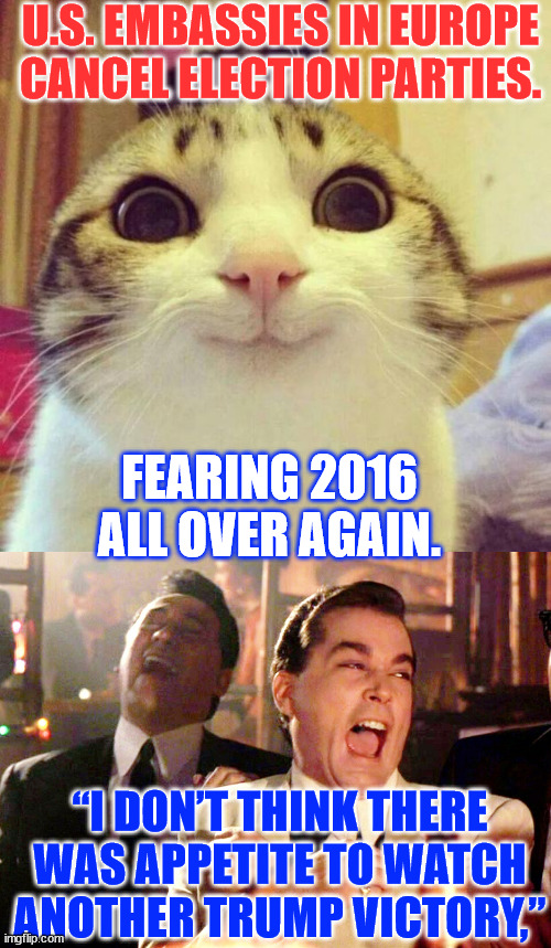 2016 is still a painful memory | U.S. EMBASSIES IN EUROPE CANCEL ELECTION PARTIES. FEARING 2016 ALL OVER AGAIN. “I DON’T THINK THERE WAS APPETITE TO WATCH ANOTHER TRUMP VICTORY,” | image tagged in memes,smiling cat,good fellas hilarious,diplomat cringe | made w/ Imgflip meme maker